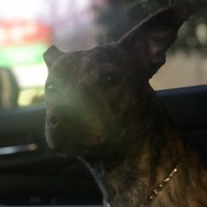 Meet your Posher, Shawnae